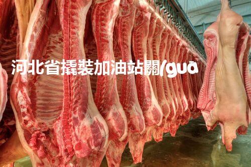 河北省撬裝加油站關(guān)鍵技術(shù)突破！化工廠拆除工程的新方法探索？